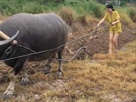 奶龙吃瓜gif,萌态十足，萌动你的心弦