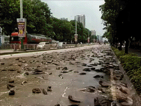 奶龙吃瓜gif,萌态十足，萌动你的心弦