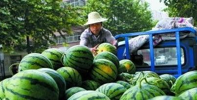 卖瓜老板吃生瓜蛋子视频,生瓜蛋子挑战大揭秘