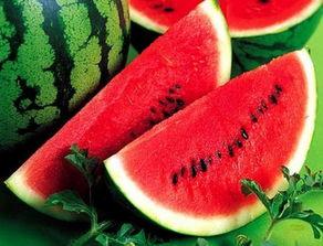 卖瓜老板吃生瓜蛋子视频,生瓜蛋子挑战大揭秘