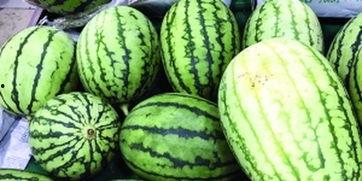 吃瓜群众快来猜,吃瓜群众快来猜，明星背后的故事大揭秘！