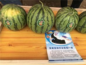 农村聊天吃瓜,吃瓜聊天乐翻天