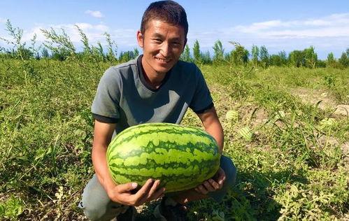 农村聊天吃瓜,吃瓜聊天乐翻天