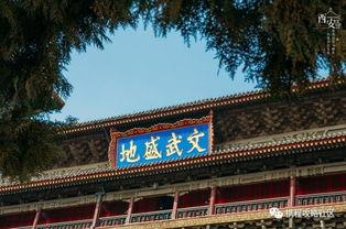 曹县鼓楼广场吃瓜店,吃瓜店里的市井百态