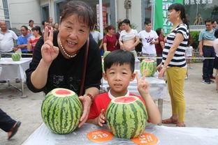 儿童比赛吃瓜,儿童趣味比赛欢乐多