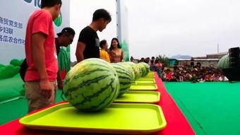 跑山吃瓜群众,揭秘户外运动中的趣味生活