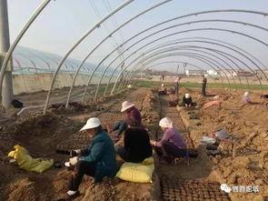 界首吃瓜小三,揭秘“吃瓜小三”背后的故事