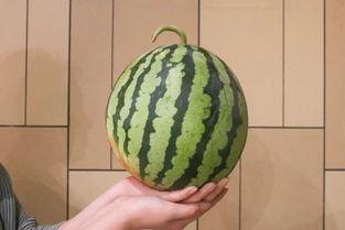 全网都在吃瓜,揭秘“吃瓜”现象背后的真相与趣味