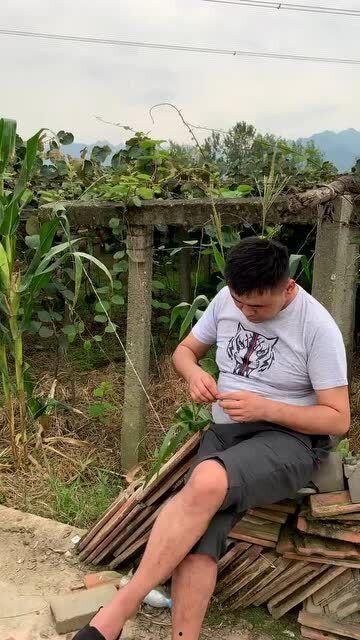 梦到去地里偷瓜吃,揭秘潜意识中的田园诱惑