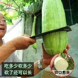 梦到去地里偷瓜吃,揭秘潜意识中的田园诱惑