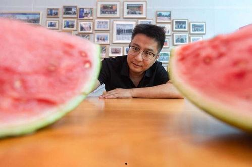 各大大学吃瓜,揭秘各大校园里的“吃瓜”盛事