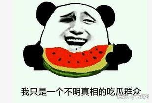 晚上吃瓜事件,揭秘娱乐圈晚宴背后的八卦风云