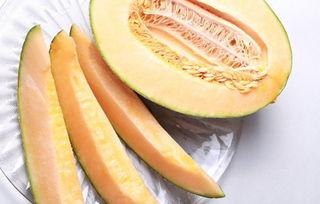 吃哈密瓜小针,探寻甜蜜背后的奇妙之旅