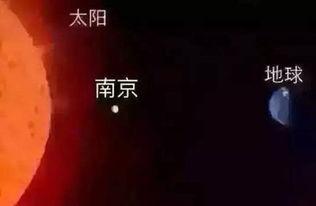 冷静吃瓜的文案