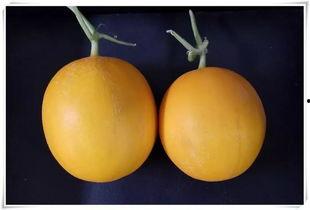 吃瓜好去处推荐,揭秘全国最佳吃瓜好去处