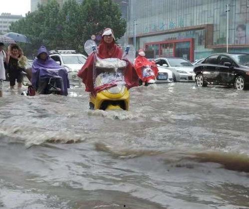 河南网友吃瓜事件,网络舆论的风暴与反思