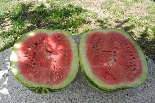 梦到与人要瓜吃,瓜果之缘，揭秘人际关系的微妙互动