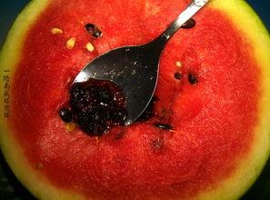 奇葩物品带你吃瓜