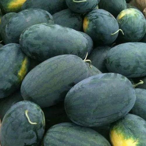 乌达区吃瓜,品味地方特色，畅享清凉时光