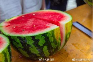 中午等着吃瓜,闲话家常，品味生活