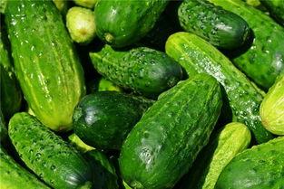 梦见吃瓜口感不好,吃瓜口感不佳背后的寓意与启示