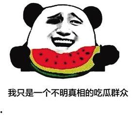 吃瓜公布小说,揭秘小说背后的秘密与真相