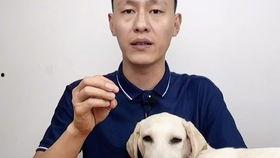 小猫可以吃哈密瓜吗,哈密瓜在猫咪饮食中的适宜性探讨