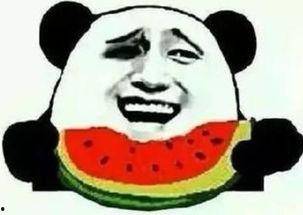 吃瓜群众金馆长,揭秘娱乐圈幕后风云