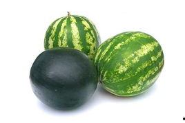 宁津吃瓜事件,一场引发社会热议的网络风波