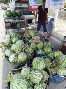 宁津吃瓜事件,一场引发社会热议的网络风波