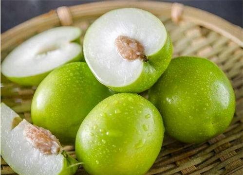 小书吃生瓜,生瓜奇遇之旅