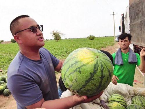 恩格斯吃瓜,一段历史佳话的瓜界传奇