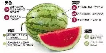 吃瓜微信合集,揭秘娱乐圈幕后故事