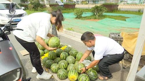 自由吃瓜的生活,畅享生活乐趣