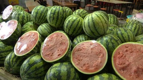 自由吃瓜的生活,畅享生活乐趣