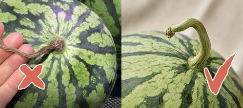 香港金融圈吃瓜,揭秘幕后吃瓜大事件