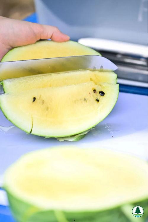 香港金融圈吃瓜,揭秘幕后吃瓜大事件