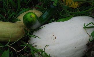 牧蓝吃瓜,揭秘娱乐圈幕后故事