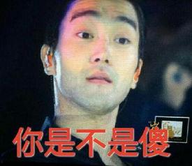 偷来的瓜怎么吃,解锁偷来瓜的完美食用之道