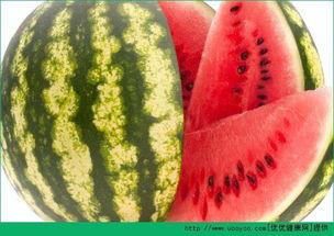 聪慧每日吃瓜视频