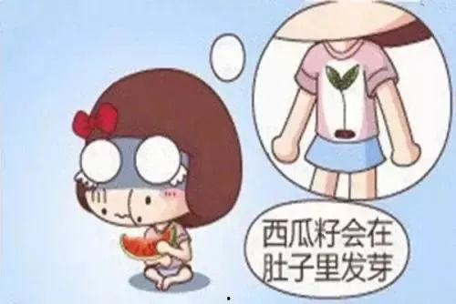 吃瓜不吐 皮,网络热词背后的文化现象