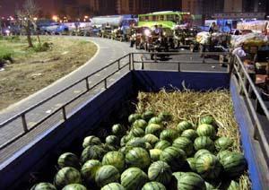 新华城连续吃瓜