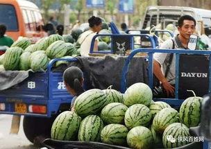 新华城连续吃瓜