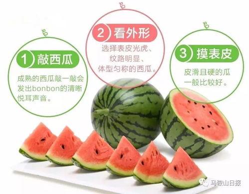 吃瓜购买地址,轻松解锁夏日美味新选择