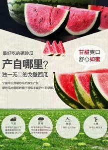 石头博主吃瓜,揭秘娱乐圈幕后真相