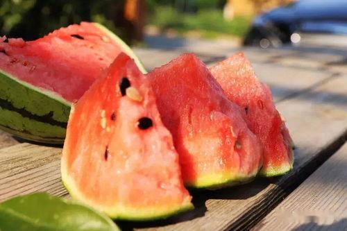 北潭吃瓜,一场别开生面的吃瓜盛宴