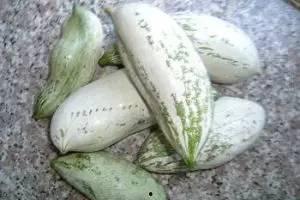 一盎司止咳吃瓜,探寻夏日清凉止咳秘方