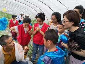 东台吃瓜比赛直播,全民狂欢，瓜界盛宴