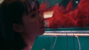 吃瓜少女日剧,揭秘甜蜜与苦涩的青春故事