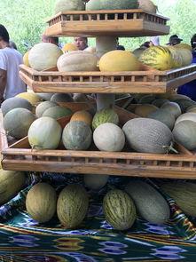 在哪可以吃新疆瓜,这些地方不容错过